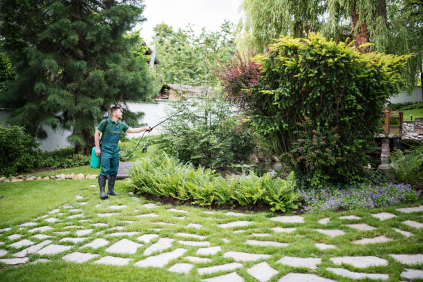 Best Tree Preservation Services  in Anchorage, AK